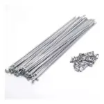 Raio Inox C/ Niple Richman 305mm X 2,0mm 36 Raios