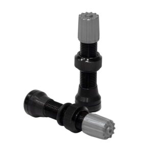 Par Valvula Tubeless Av Schrader Aluminio Preto 40mm - Absolute